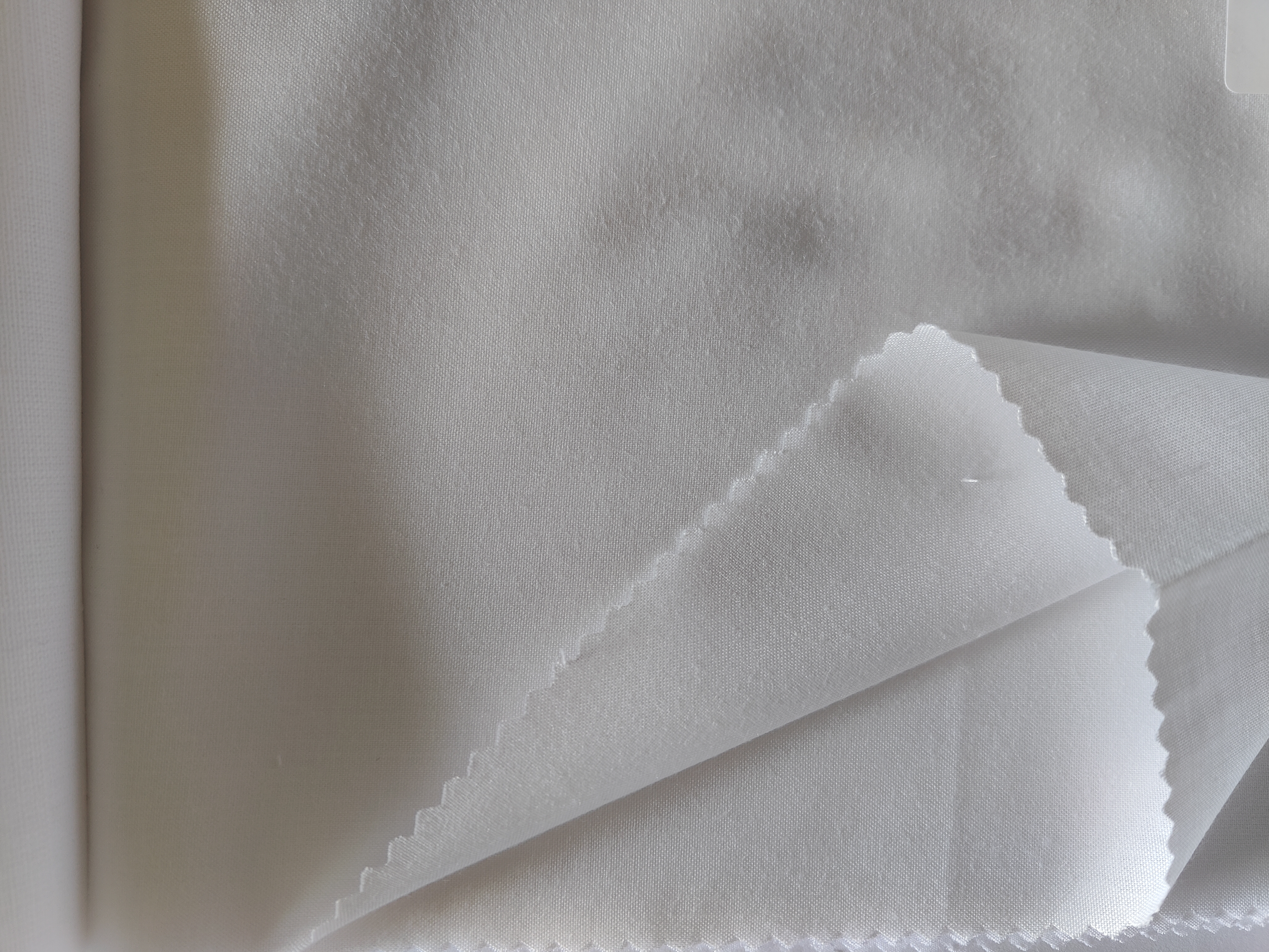 Indian Cotton Fabric